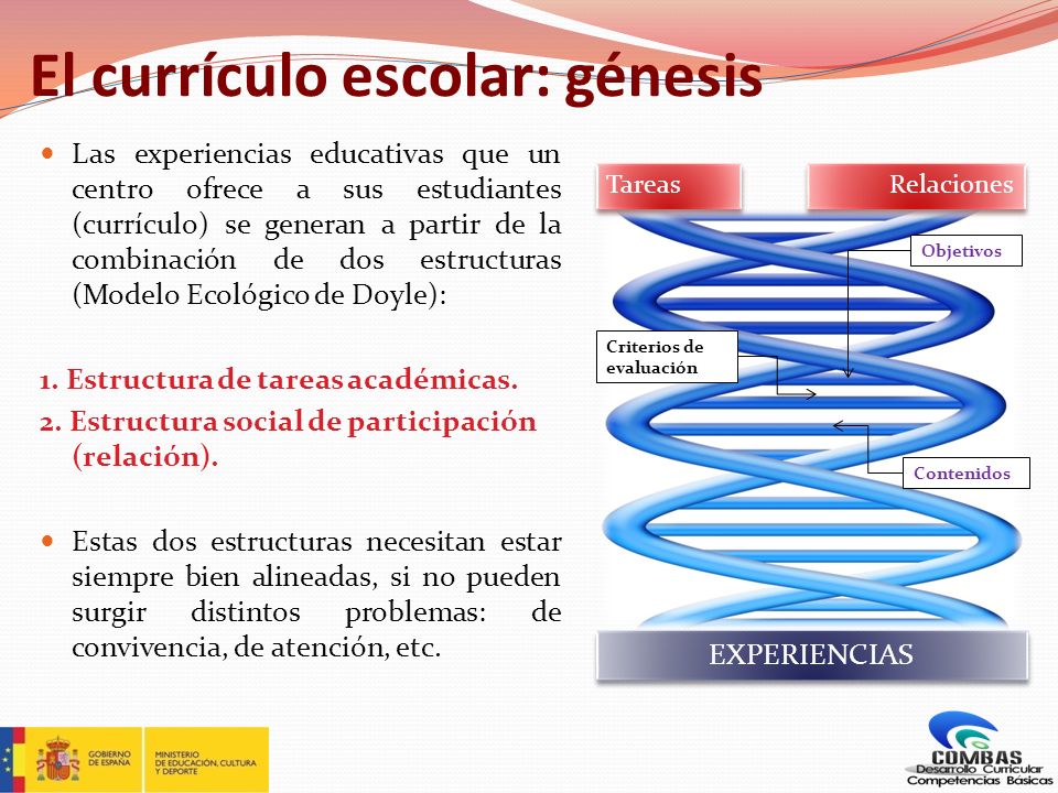 El currículo escolar: génesis