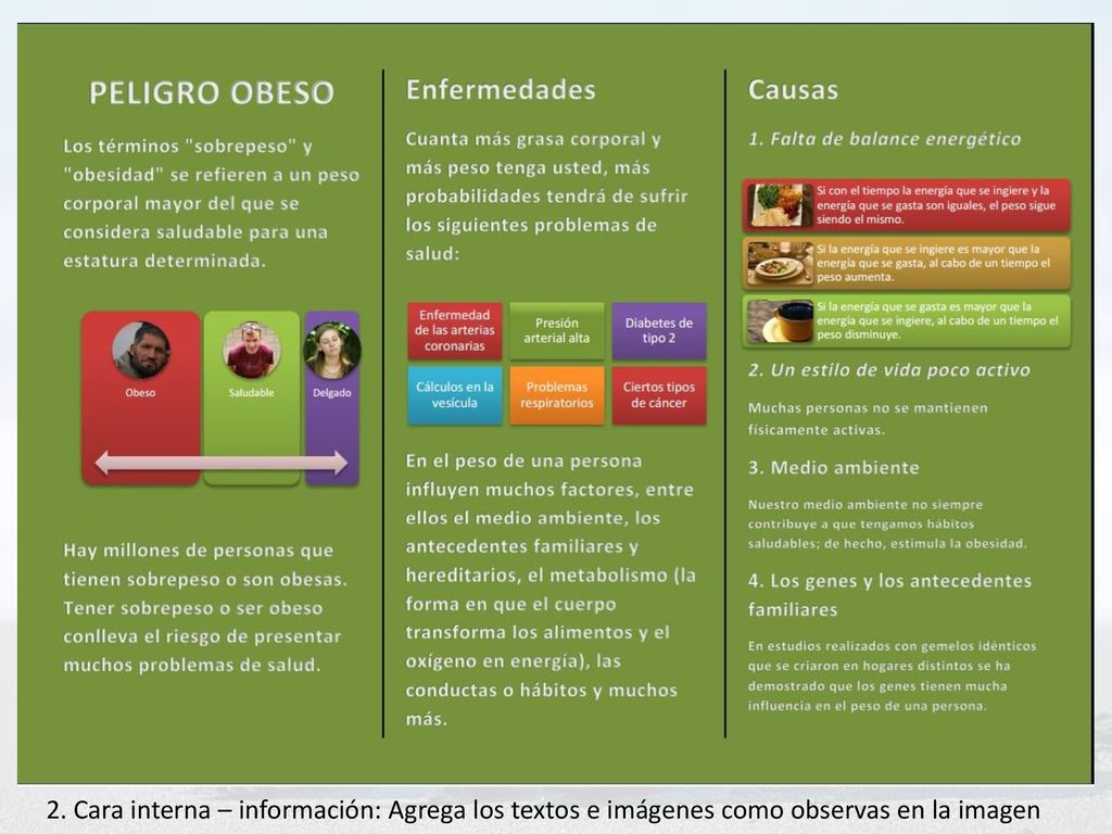2. Cara interna – información: Agrega los textos e imágenes como observas en la imagen