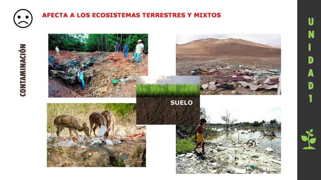 UNIDAD 1 CONTAMINACIÓN AFECTA A LOS ECOSISTEMAS TERRESTRES Y MIXTOS