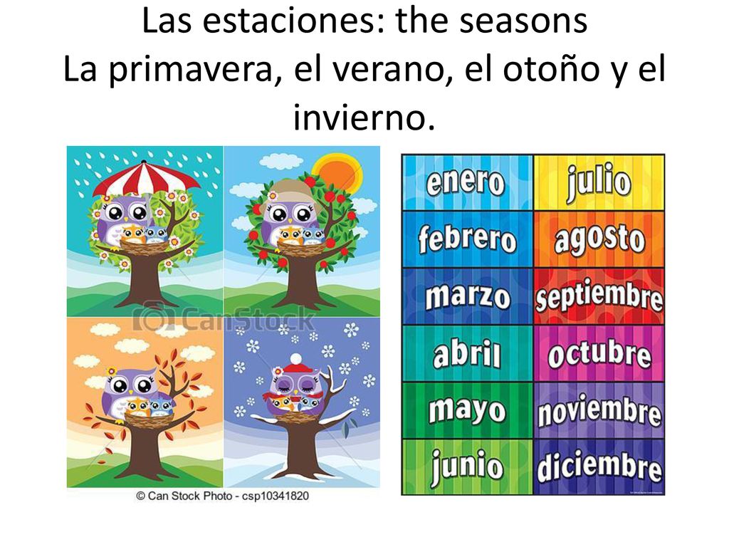 Las estaciones: the seasons La primavera, el verano, el otoño y el invierno.