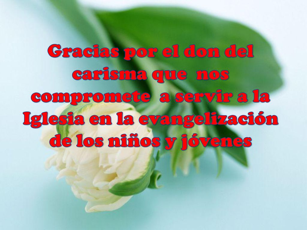 Gracias por el don del carisma que nos compromete a servir a la Iglesia en la evangelización de los niños y jóvenes