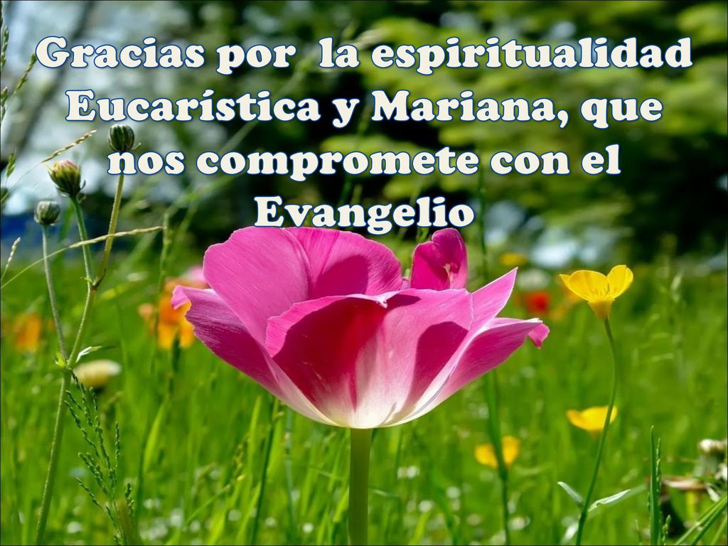 Gracias por la espiritualidad Eucarística y Mariana, que nos compromete con el Evangelio