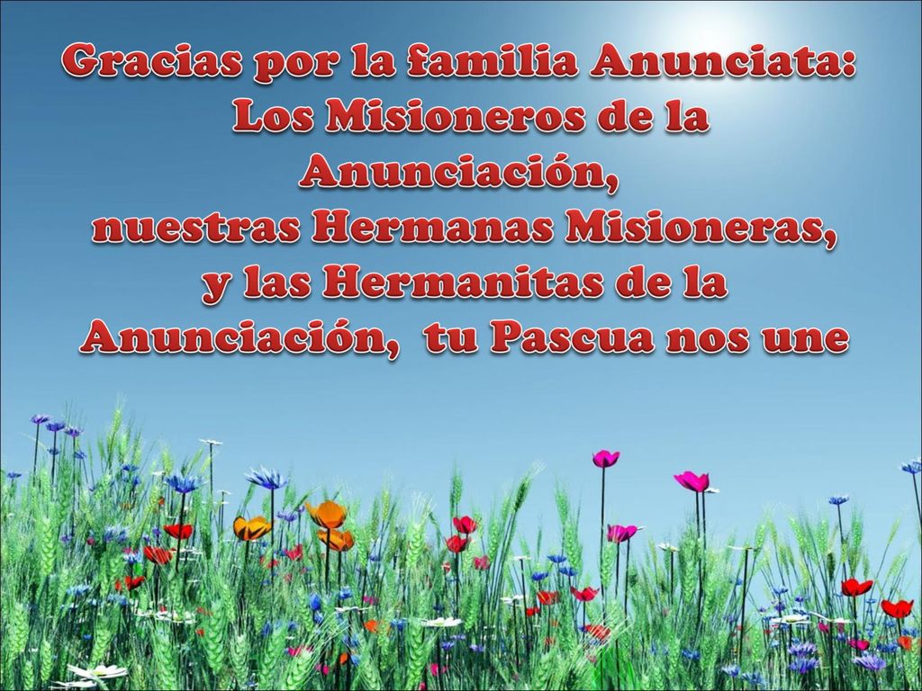 Gracias por la familia Anunciata: Los Misioneros de la Anunciación,