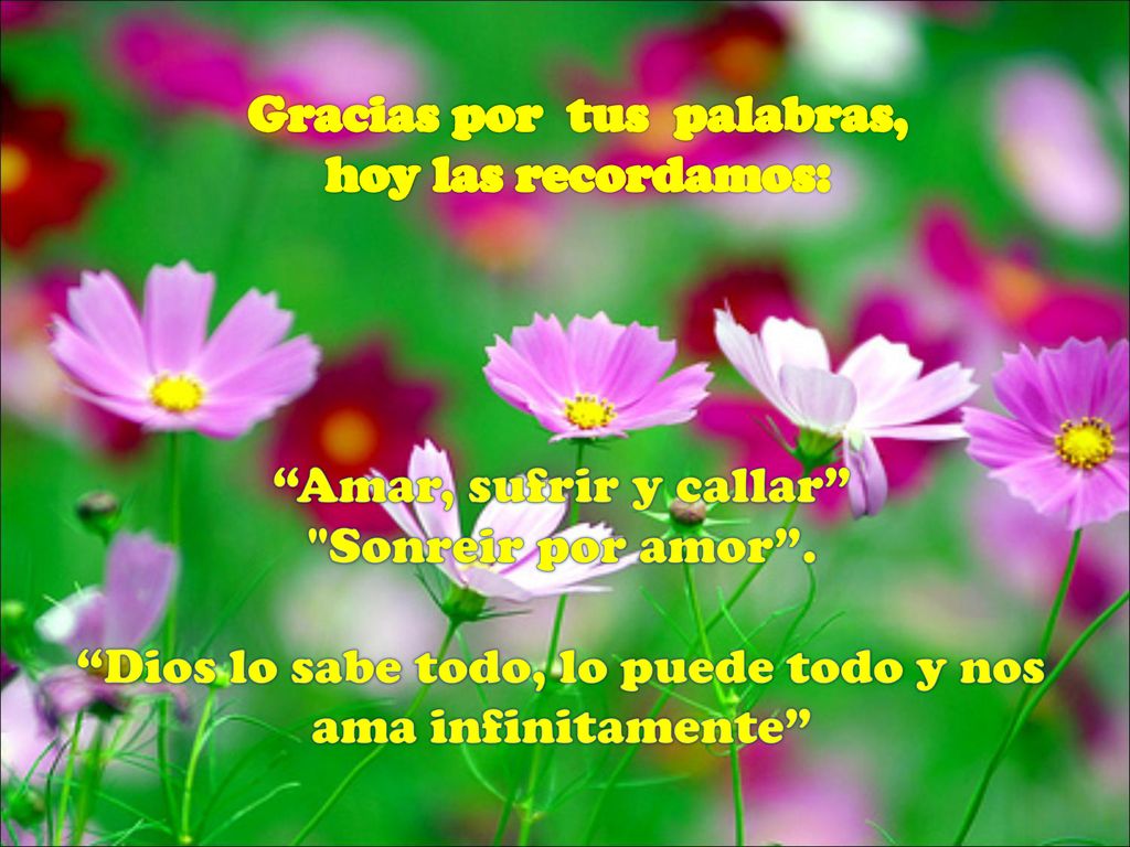 Gracias por tus palabras, hoy las recordamos: