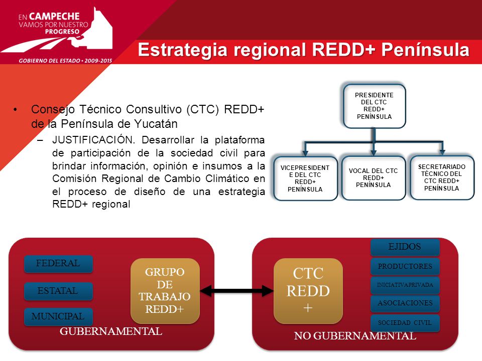 Estrategia regional REDD+ Península