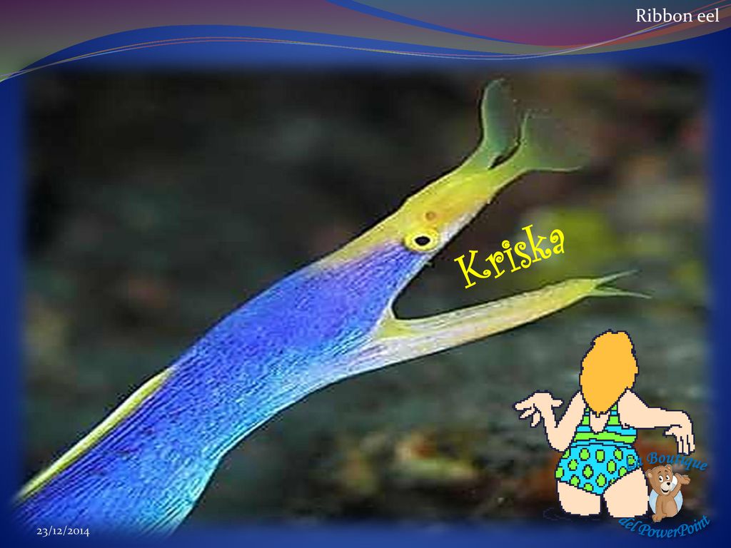 Ribbon eel Kriska La Boutique del PowerPoint 23/12/2014