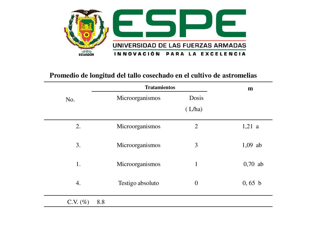 Promedio de longitud del tallo cosechado en el cultivo de astromelias