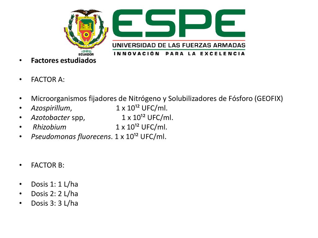 Factores estudiados FACTOR A: Microorganismos fijadores de Nitrógeno y Solubilizadores de Fósforo (GEOFIX)