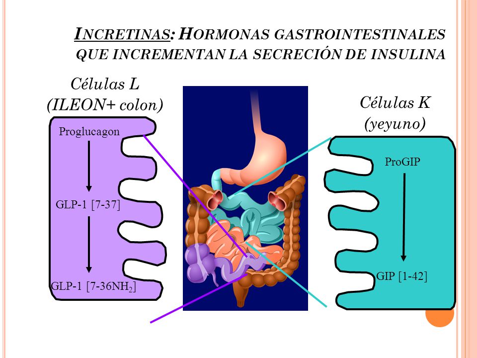 Incretinas: Hormonas gastrointestinales que incrementan la secreción de insulina