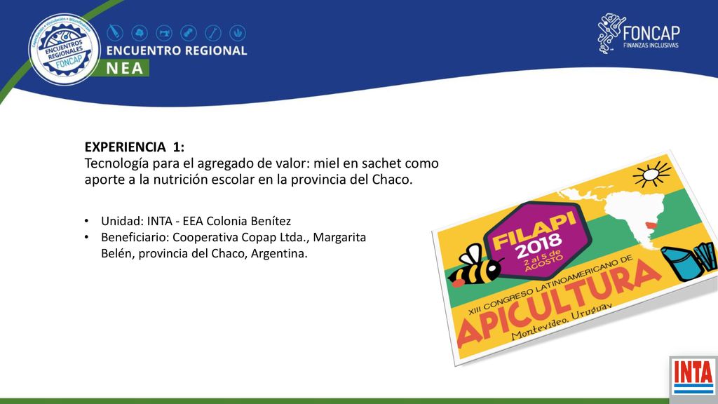 EXPERIENCIA 1: Tecnología para el agregado de valor: miel en sachet como aporte a la nutrición escolar en la provincia del Chaco.