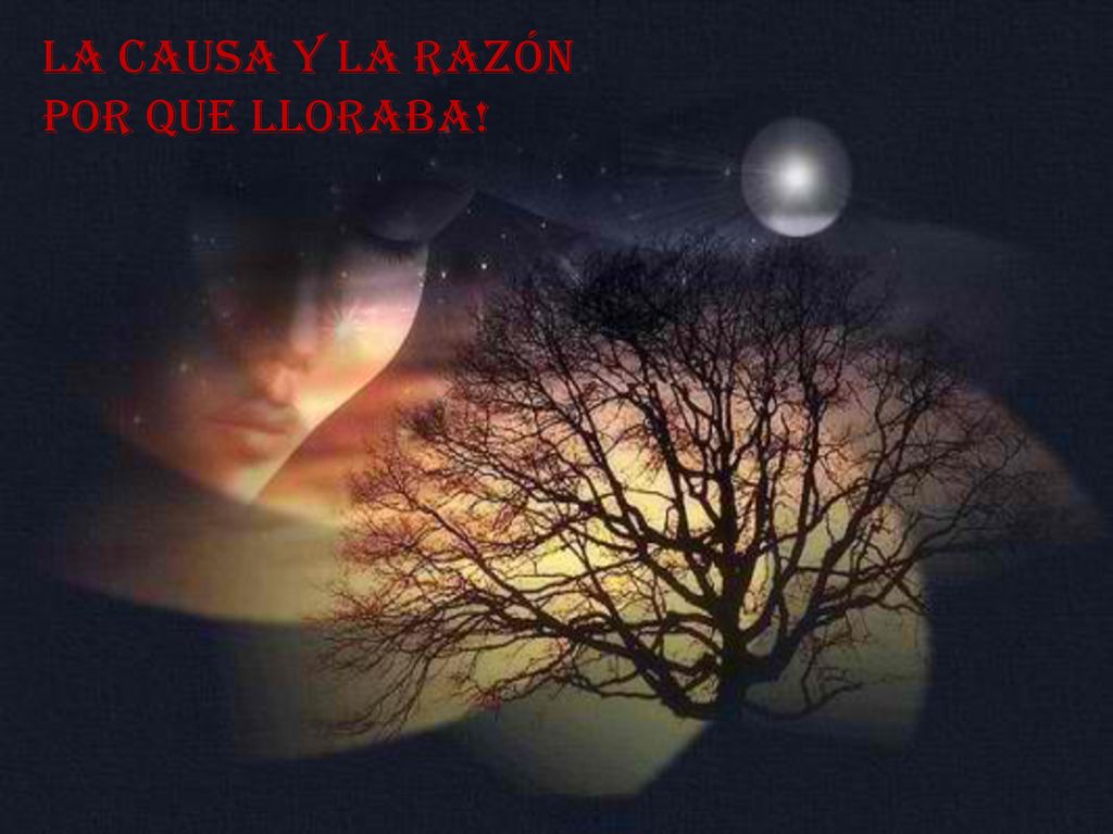 La causa y la razón Por que lloraba!