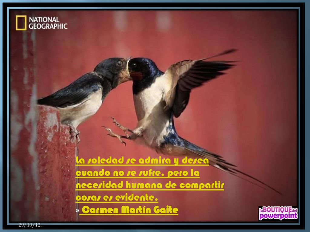 La soledad se admira y desea cuando no se sufre, pero la necesidad humana de compartir cosas es evidente.
