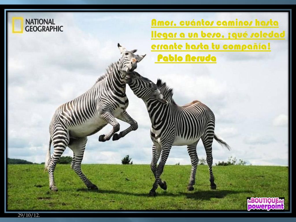 Amor, cuántos caminos hasta llegar a un beso, ¡qué soledad errante hasta tu compañía!