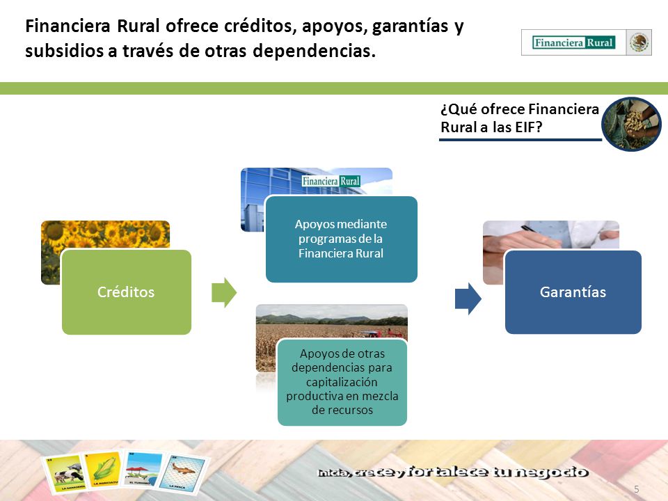 Apoyos mediante programas de la Financiera Rural