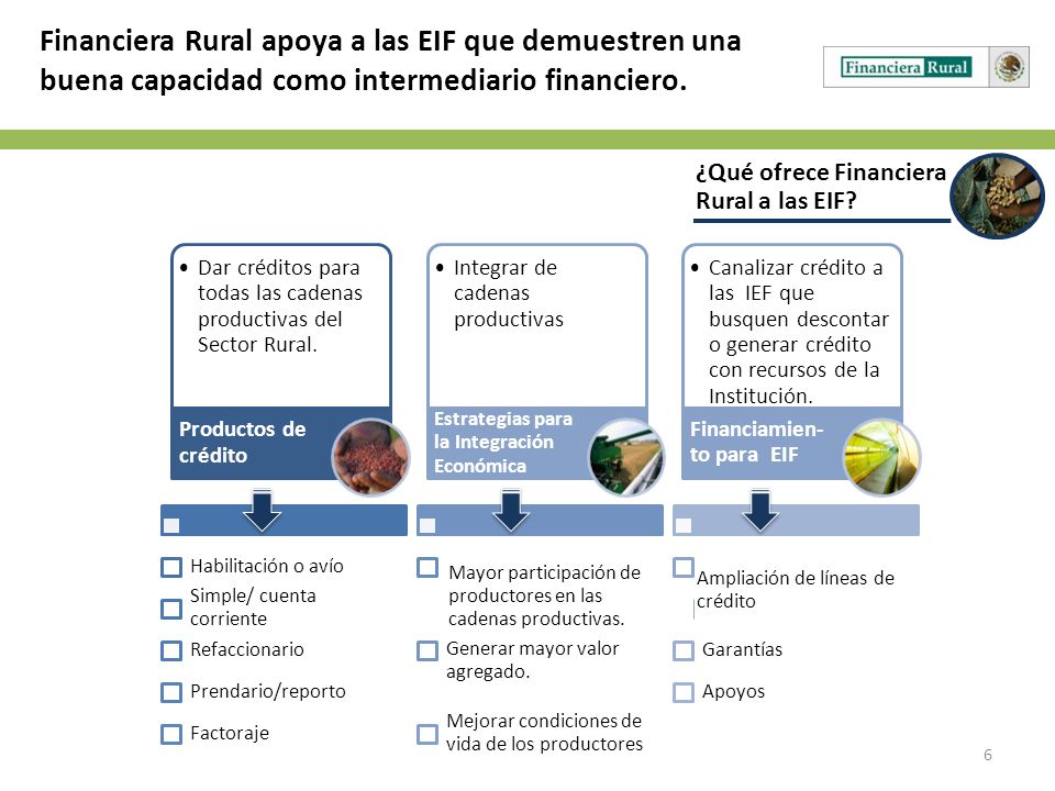 Financiera Rural apoya a las EIF que demuestren una buena capacidad como intermediario financiero.