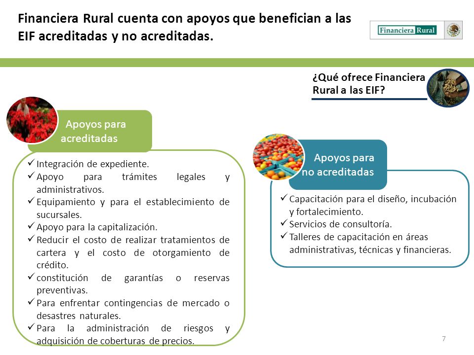 Financiera Rural cuenta con apoyos que benefician a las EIF acreditadas y no acreditadas.