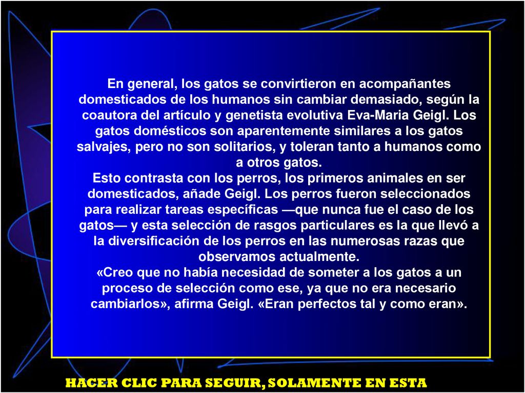 En general, los gatos se convirtieron en acompañantes domesticados de los humanos sin cambiar demasiado, según la coautora del artículo y genetista evolutiva Eva-Maria Geigl. Los gatos domésticos son aparentemente similares a los gatos salvajes, pero no son solitarios, y toleran tanto a humanos como a otros gatos.
