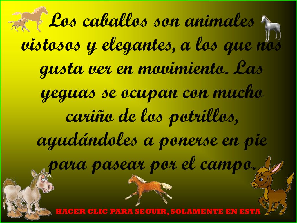Los caballos son animales vistosos y elegantes, a los que nos gusta ver en movimiento. Las yeguas se ocupan con mucho cariño de los potrillos, ayudándoles a ponerse en pie para pasear por el campo.