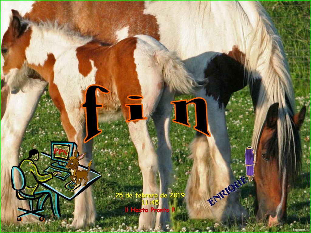 f i n PPS 25 de febrero de :45 ¡¡ Hasta Pronto !!