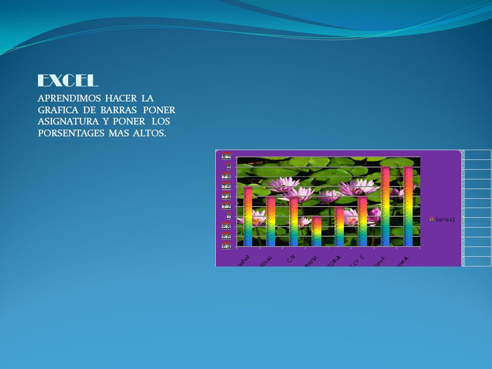 EXCEL APRENDIMOS HACER LA GRAFICA DE BARRAS PONER ASIGNATURA Y PONER LOS PORSENTAGES MAS ALTOS.