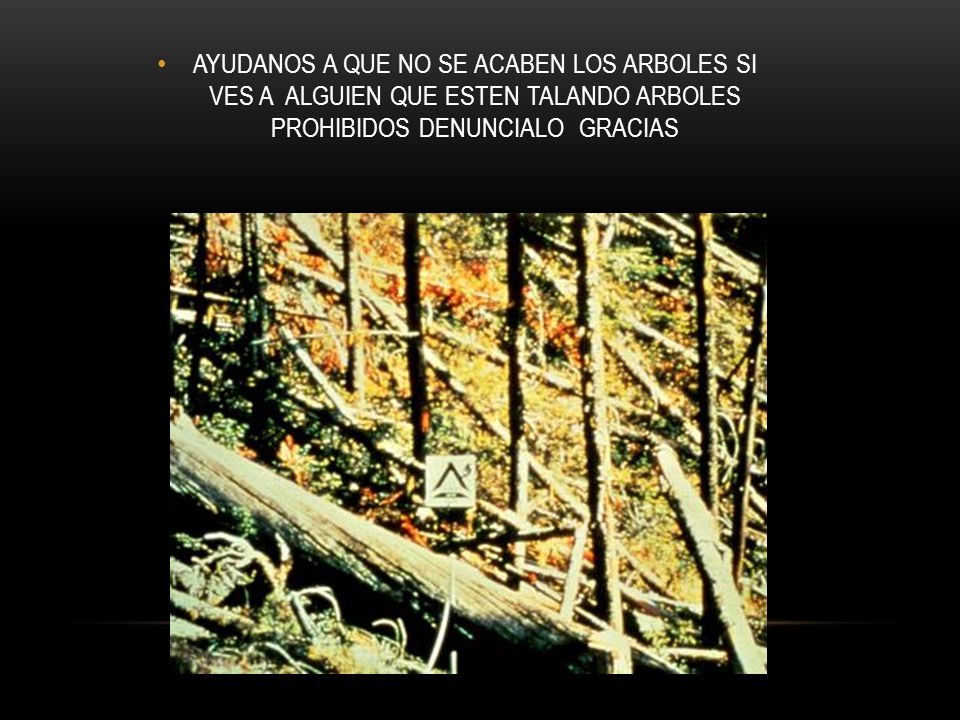AYUDANOS A QUE NO SE ACABEN LOS ARBOLES SI VES A ALGUIEN QUE ESTEN TALANDO ARBOLES PROHIBIDOS DENUNCIALO GRACIAS