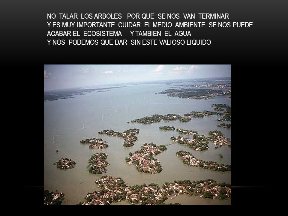NO TALAR LOS ARBOLES POR QUE SE NOS VAN TERMINAR