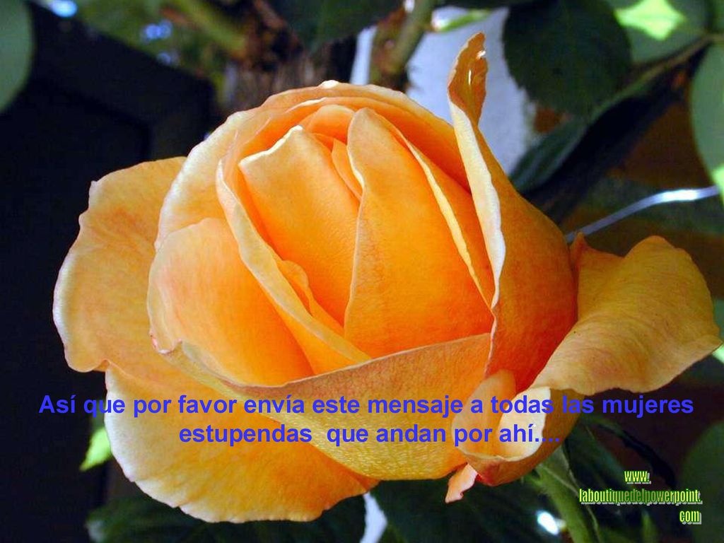 Así que por favor envía este mensaje a todas las mujeres