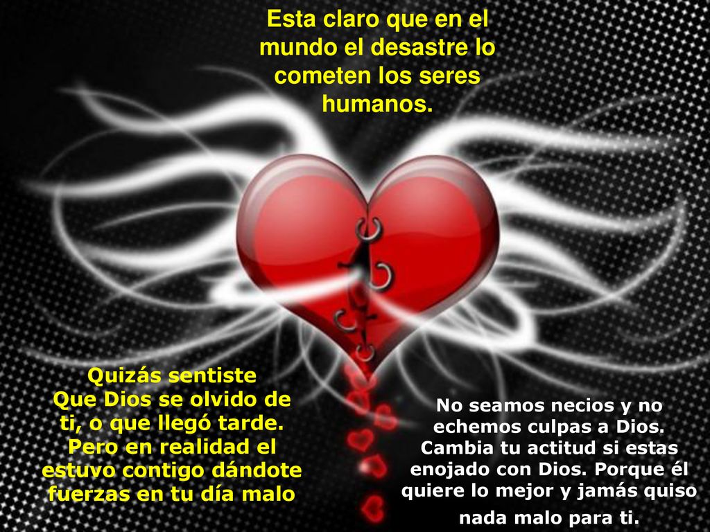 Esta claro que en el mundo el desastre lo cometen los seres humanos.
