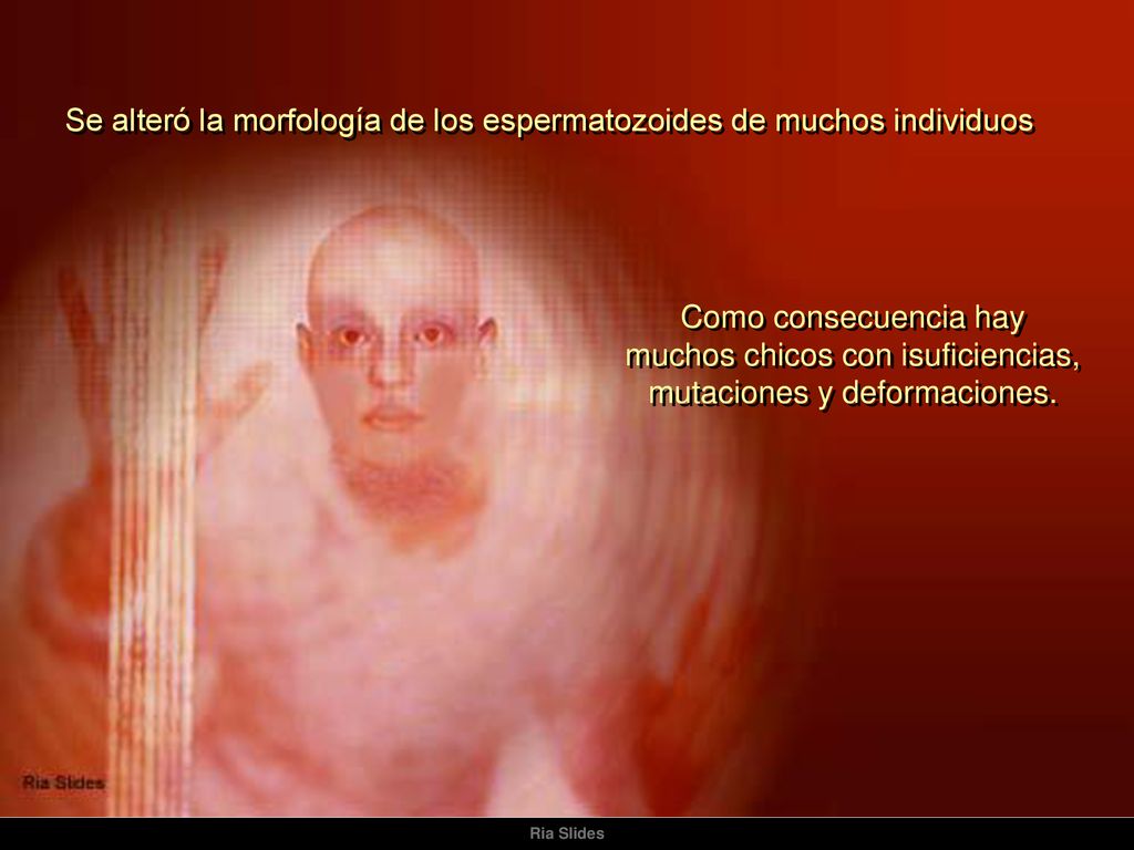 Se alteró la morfología de los espermatozoides de muchos individuos