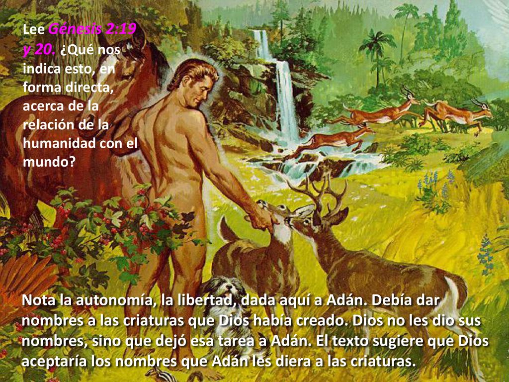 Lee Génesis 2:19 y 20. ¿Qué nos indica esto, en forma directa, acerca de la relación de la humanidad con el mundo