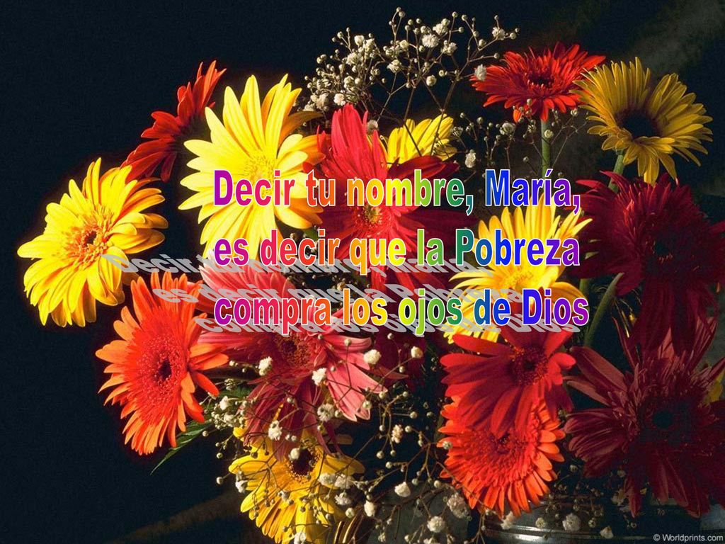 Decir tu nombre, María, es decir que la Pobreza compra los ojos de Dios