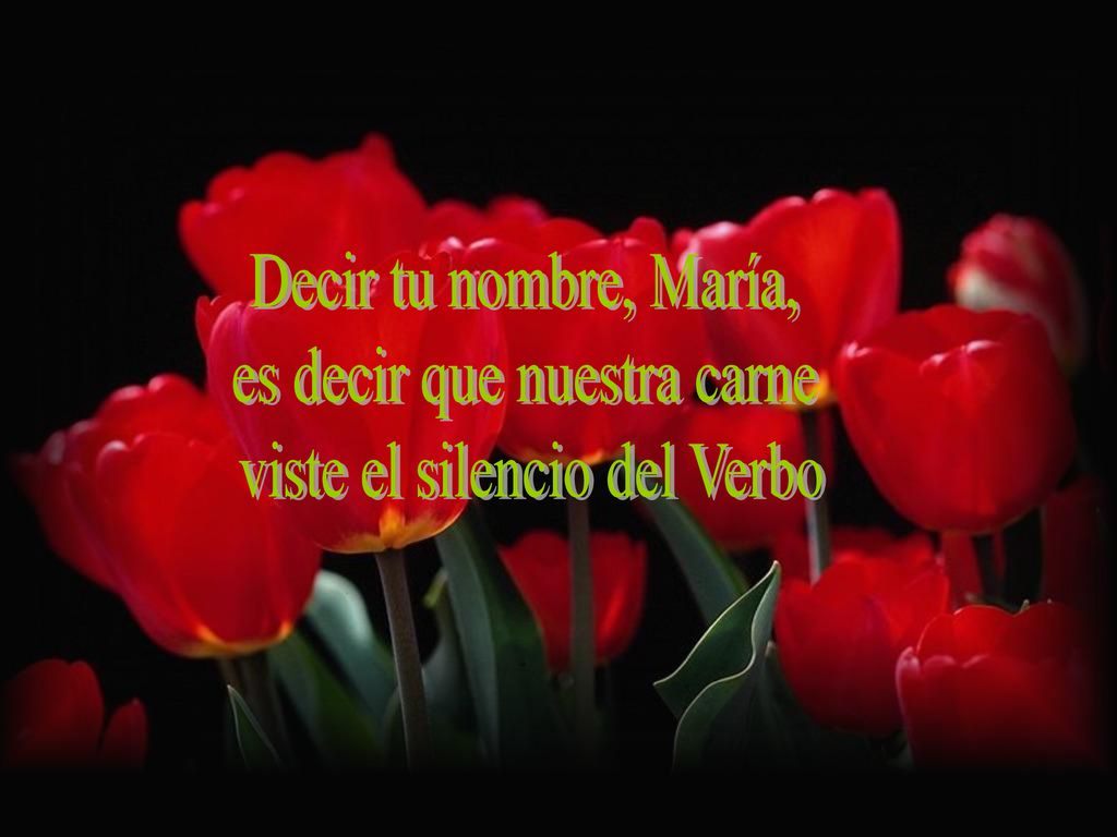 es decir que nuestra carne viste el silencio del Verbo