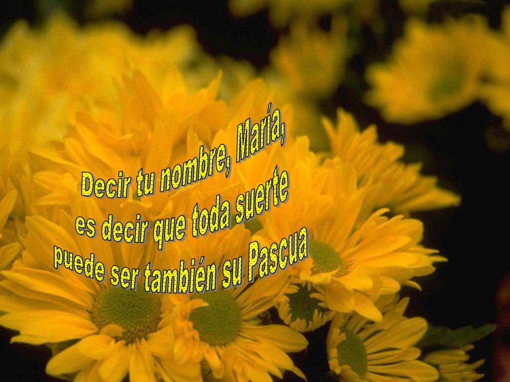 es decir que toda suerte puede ser también su Pascua