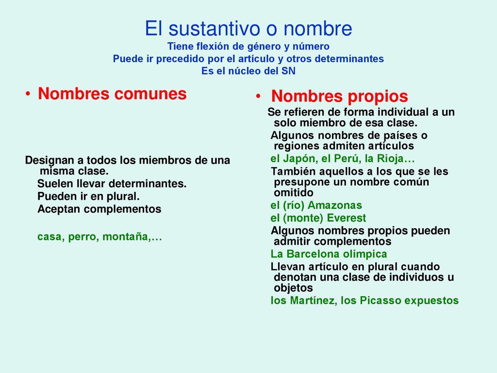 El sustantivo o nombre Tiene flexión de género y número Puede ir precedido por el artículo y otros determinantes Es el núcleo del SN
