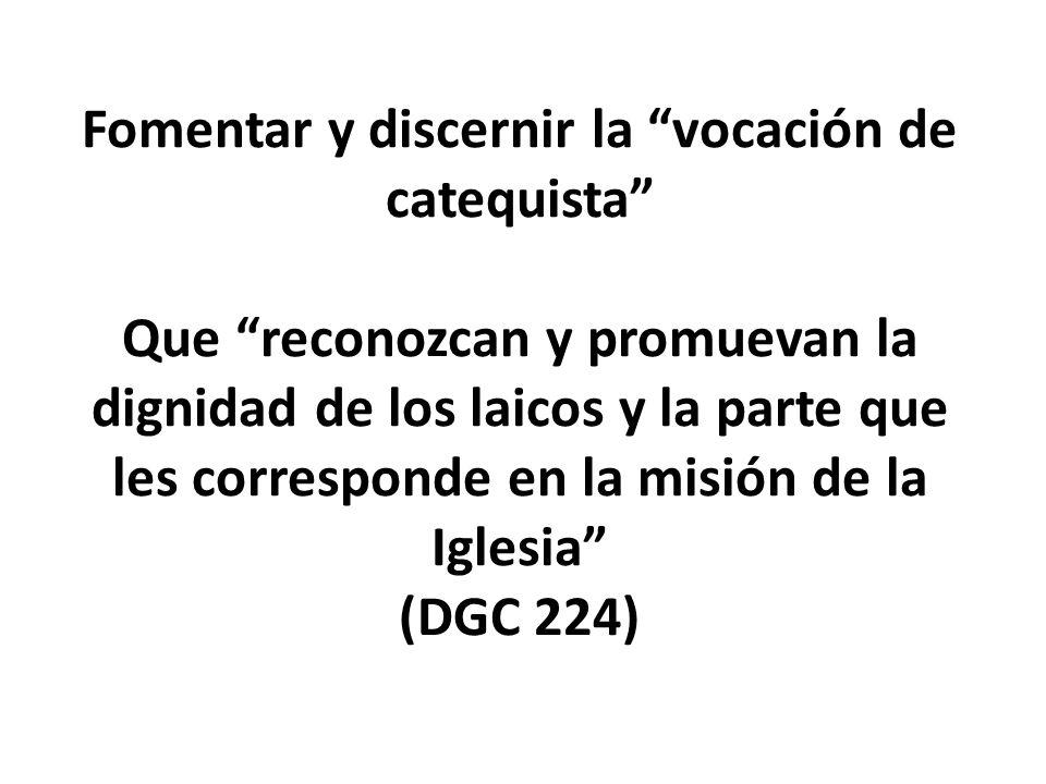 Fomentar y discernir la vocación de catequista Que reconozcan y promuevan la dignidad de los laicos y la parte que les corresponde en la misión de la Iglesia (DGC 224)