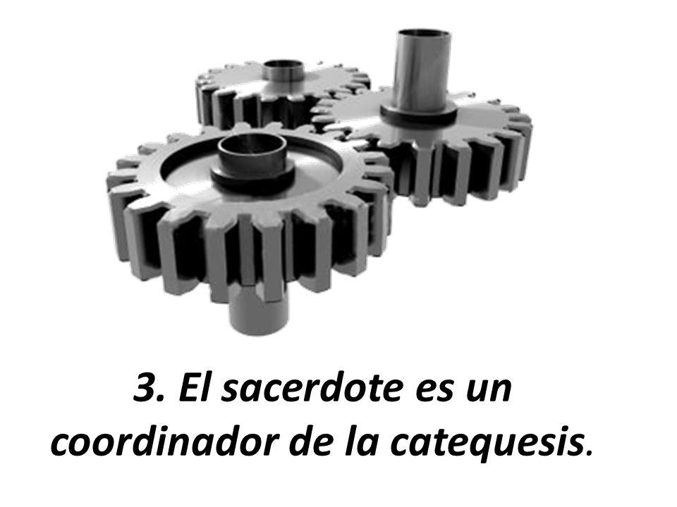 3. El sacerdote es un coordinador de la catequesis.