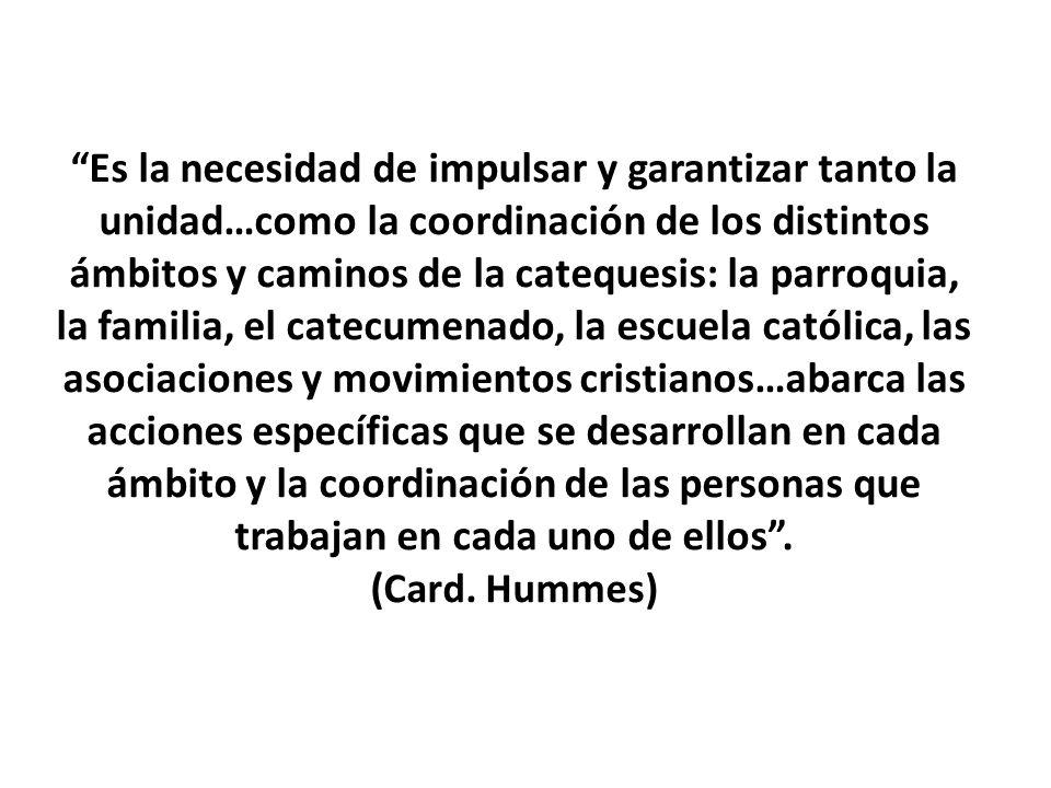 Es la necesidad de impulsar y garantizar tanto la unidad…como la coordinación de los distintos ámbitos y caminos de la catequesis: la parroquia, la familia, el catecumenado, la escuela católica, las asociaciones y movimientos cristianos…abarca las acciones específicas que se desarrollan en cada ámbito y la coordinación de las personas que trabajan en cada uno de ellos .