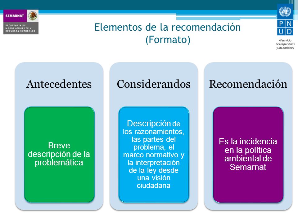 Elementos de la recomendación (Formato)