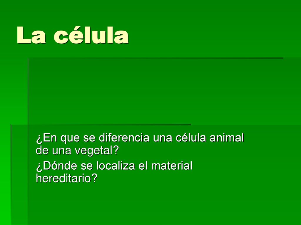 La célula ¿En que se diferencia una célula animal de una vegetal