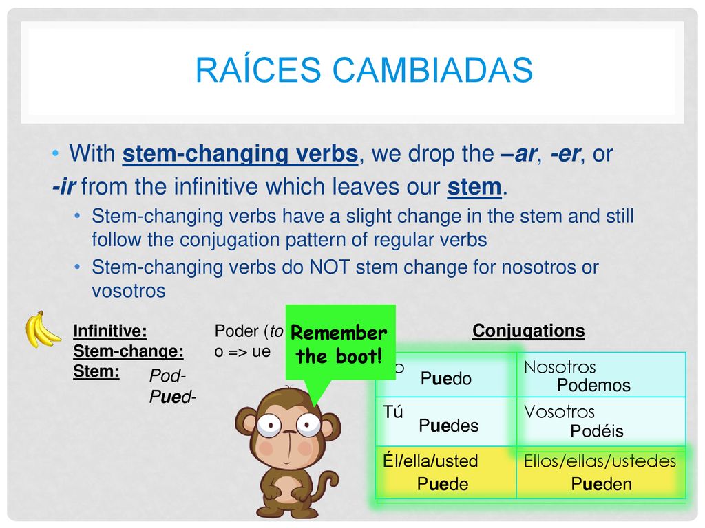 RAÍCES CAMBIADAS With stem-changing verbs, we drop the –ar, -er, or