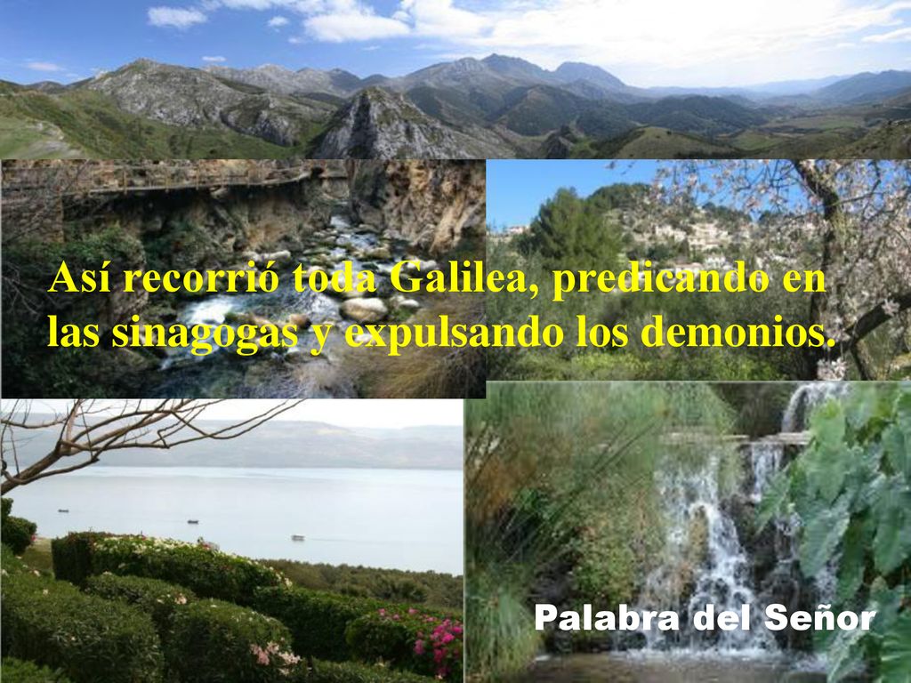 Así recorrió toda Galilea, predicando en las sinagogas y expulsando los demonios.