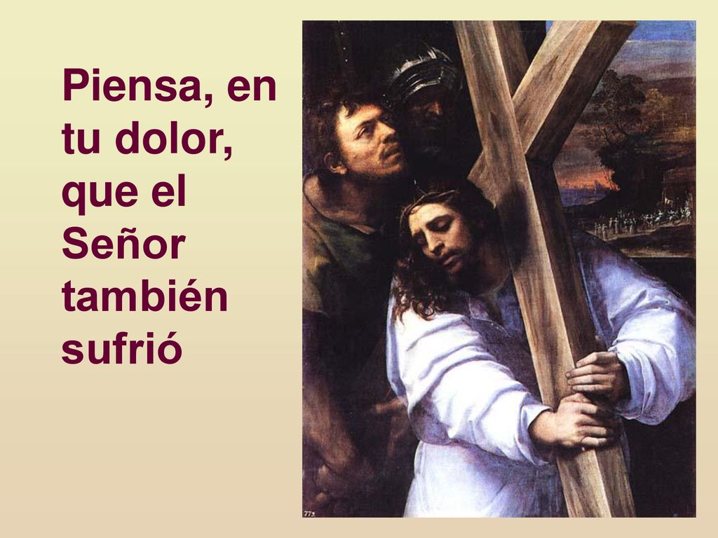 Piensa, en tu dolor, que el Señor también sufrió