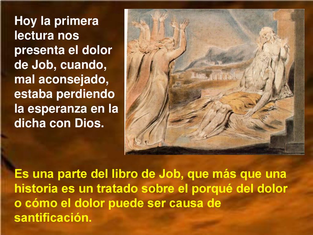 Hoy la primera lectura nos presenta el dolor de Job, cuando, mal aconsejado, estaba perdiendo la esperanza en la dicha con Dios.