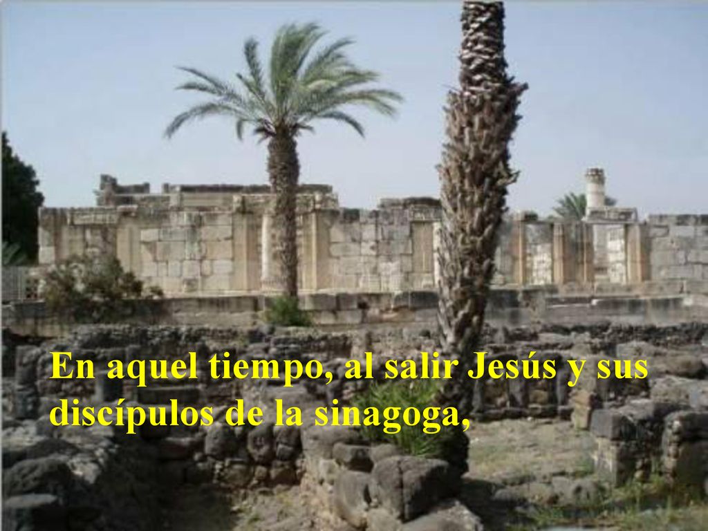 En aquel tiempo, al salir Jesús y sus discípulos de la sinagoga,