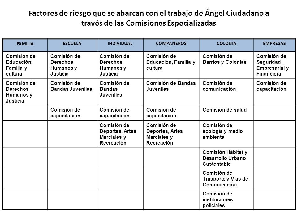 Factores de riesgo que se abarcan con el trabajo de Ángel Ciudadano a través de las Comisiones Especializadas