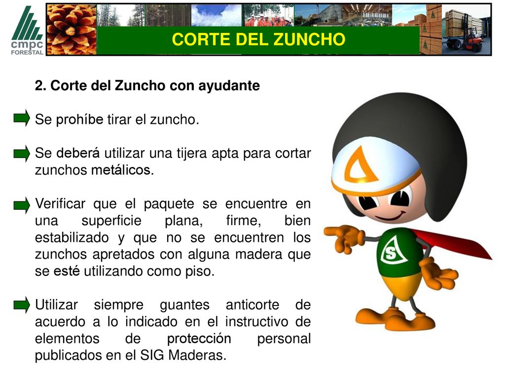 CORTE DEL ZUNCHO 2. Corte del Zuncho con ayudante