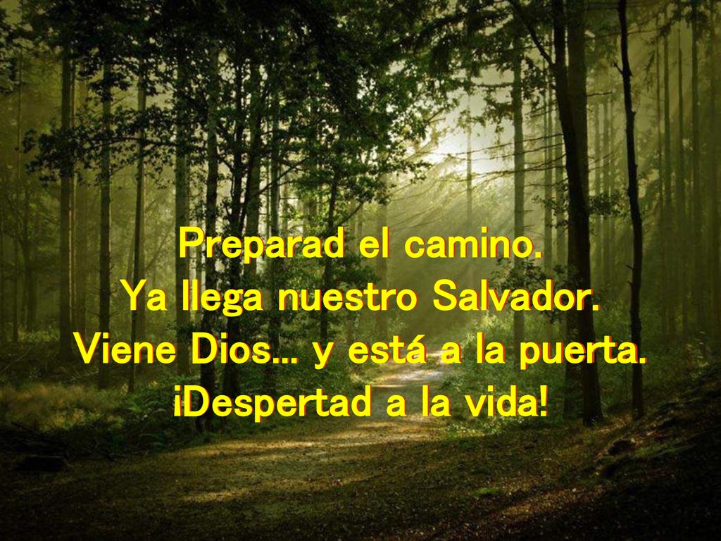 Ya llega nuestro Salvador. Viene Dios... y está a la puerta.