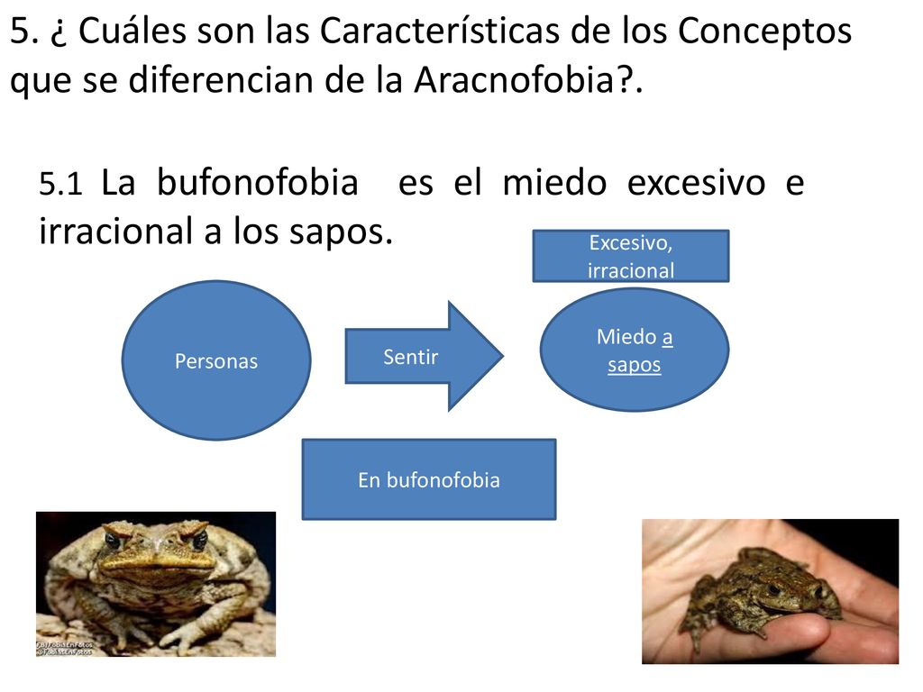 5. ¿ Cuáles son las Características de los Conceptos que se diferencian de la Aracnofobia .