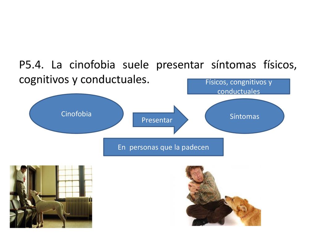 P5.4. La cinofobia suele presentar síntomas físicos, cognitivos y conductuales.