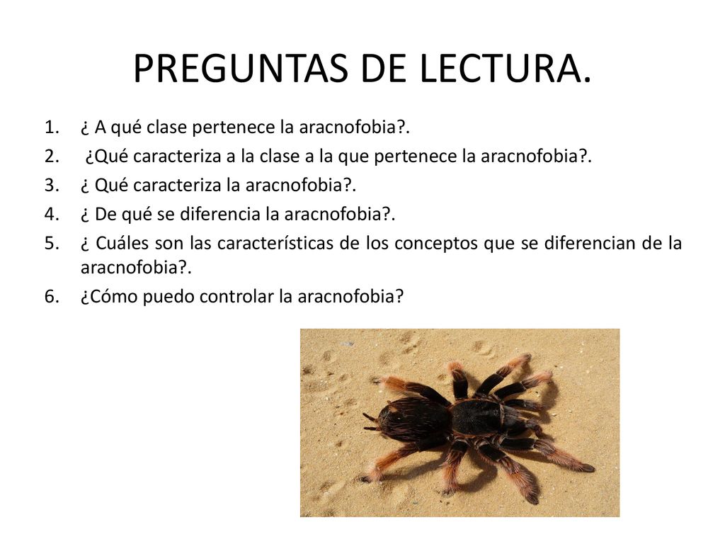 PREGUNTAS DE LECTURA. ¿ A qué clase pertenece la aracnofobia .